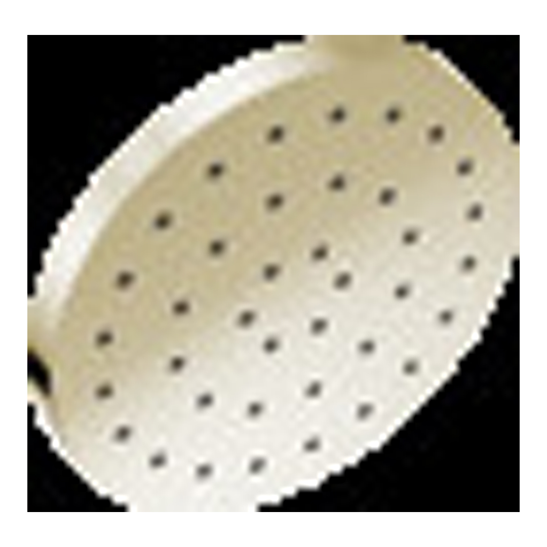 UltraSoak 12" Showerhead 52160-PN-PR25